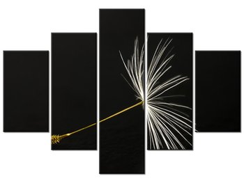 Obraz Dmuchawce latawce, 5 elementów, 100x70 cm - Oobrazy