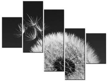 Obraz Dmuchawiec-Gemma Stiles, 5 elementów, 100x75 cm - Oobrazy