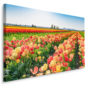 Obraz Do Jadalni Canvas Kwiaty Pole Kolorowych Tulipanów PEJZAŻ 3D 100cm x 70cm - Muralo
