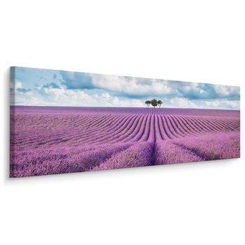Obraz Do Jadalni Pole LAWENDY Panorama Kwiaty Natura 145cm x 45cm - Muralo