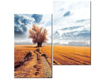 Obraz Drzewko, 2 elementy, 60x60 cm - Oobrazy