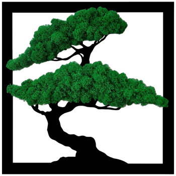 Obraz Drzewo Bonsai Ciemny Mech Chrobotek Kwadrat 60Cm - SARTS