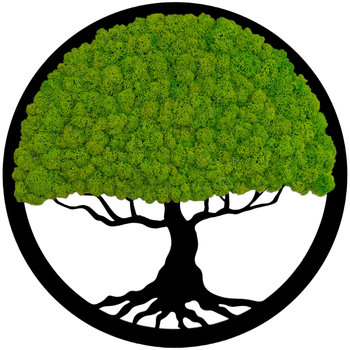 Obraz Drzewo Życia Mech Chrobotek 30Cm - SARTS