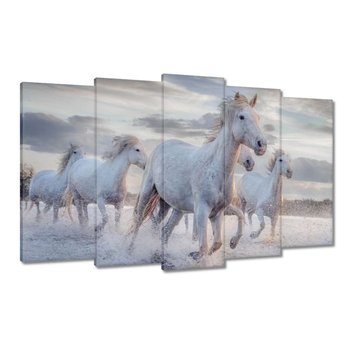 Obraz Dzikie konie, 100x60cm - ZeSmakiem