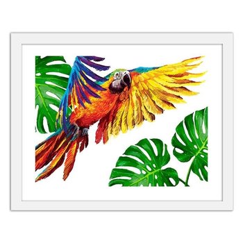 Obraz FEEBY Kolorowe papugi, 29,7x21 cm - Feeby