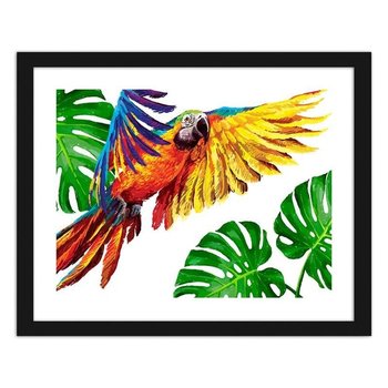 Obraz FEEBY Kolorowe papugi, 60x40 cm - Feeby