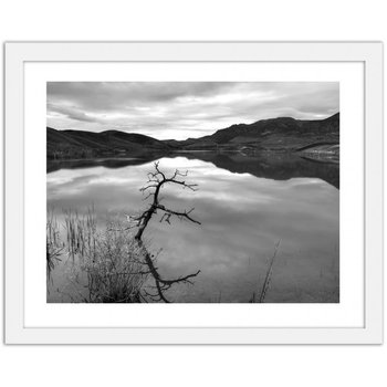 Obraz FEEBY Konar nad jeziorem, 50x40 cm - Feeby