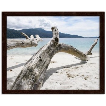 Obraz FEEBY Konary drzewa na tropikalnej plaży, 70x50 cm - Feeby