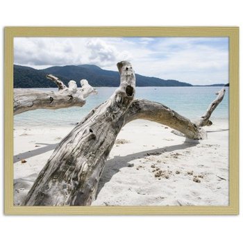 Obraz FEEBY Konary drzewa na tropikalnej plaży, 90x60 cm - Feeby