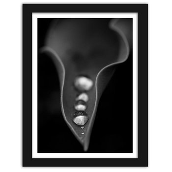 Obraz FEEBY Krople wody na liściu, 60x90 cm - Feeby