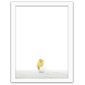 Obraz FEEBY Kurczak w skorupce, 80x120 cm - Feeby