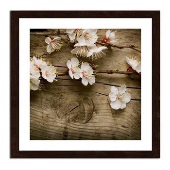 Obraz FEEBY Kwiaty brzoskwini, 40x40 cm - Feeby