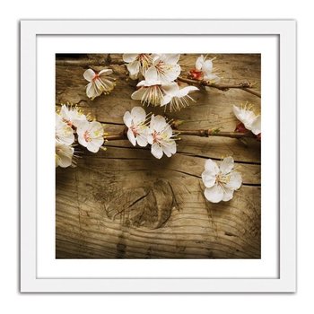 Obraz FEEBY Kwiaty brzoskwini, 60x60 cm - Feeby