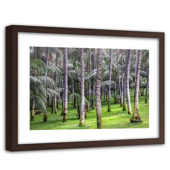 Obraz FEEBY Las palmowy, 60x40 cm - Feeby