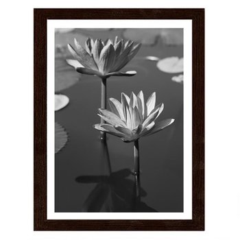 Obraz FEEBY Lilie w stawie, 21x29,7 cm - Feeby