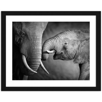 Obraz FEEBY Mały słoń, 29,7x21 cm - Feeby
