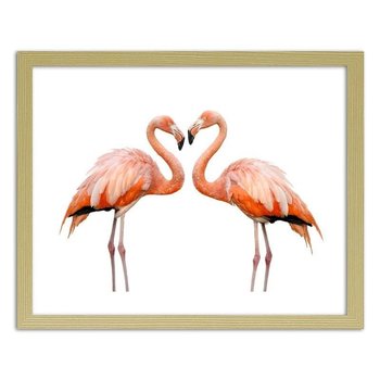 Obraz FEEBY Miłość dwóch flamingów, 40x30 cm - Feeby