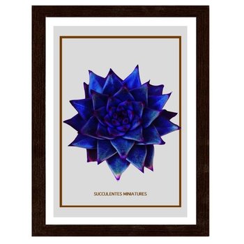 Obraz FEEBY Niebieski kaktus 2, 50x70 cm - Feeby