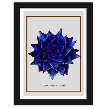 Obraz FEEBY Niebieski kaktus 2, 60x90 cm - Feeby