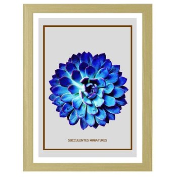 Obraz FEEBY Niebieski kaktus 4, 50x70 cm - Feeby