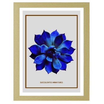 Obraz FEEBY Niebieski kaktus, 50x70 cm - Feeby