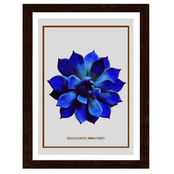Obraz FEEBY Niebieski kaktus, 50x70 cm - Feeby