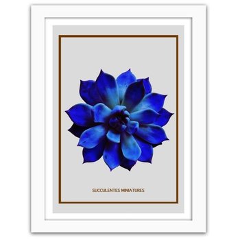 Obraz FEEBY Niebieski kaktus, 70x100 cm - Feeby