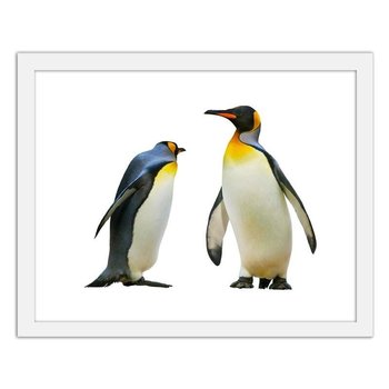 Obraz FEEBY Pingwiny, 50x40 cm - Feeby