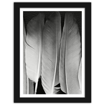 Obraz FEEBY Pióra w czerni i bieli, 80x120 cm - Feeby
