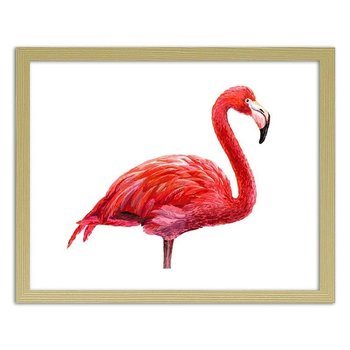 Obraz FEEBY Realistyczna ilustracja flaminga, 29,7x21 cm - Feeby