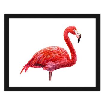 Obraz FEEBY Realistyczna ilustracja flaminga, 29,7x21 cm - Feeby