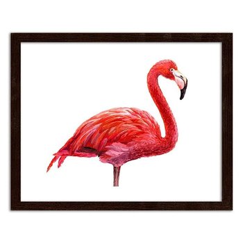 Obraz FEEBY Realistyczna ilustracja flaminga, 50x40 cm - Feeby