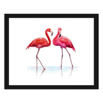 Obraz FEEBY Realistyczna ilustracja flamingów stojących w wodzie, 29,7x21 cm - Feeby