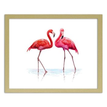Obraz FEEBY Realistyczna ilustracja flamingów stojących w wodzie, 50x40 cm - Feeby