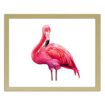 Obraz FEEBY Realistyczna ilustracja różowego flaminga, 50x40 cm - Feeby