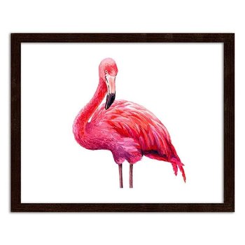 Obraz FEEBY Realistyczna ilustracja różowego flaminga, 50x40 cm - Feeby