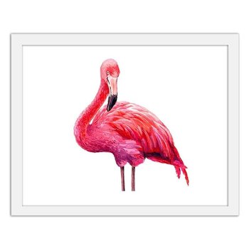 Obraz FEEBY Realistyczna ilustracja różowego flaminga, 60x40 cm - Feeby