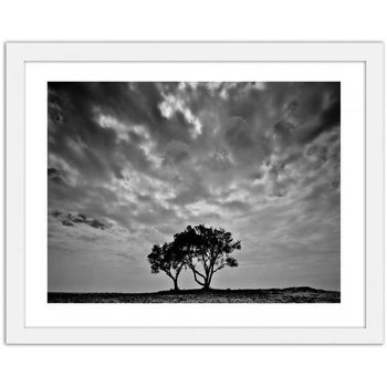 Obraz FEEBY Samotne drzewa, 70x50 cm - Feeby