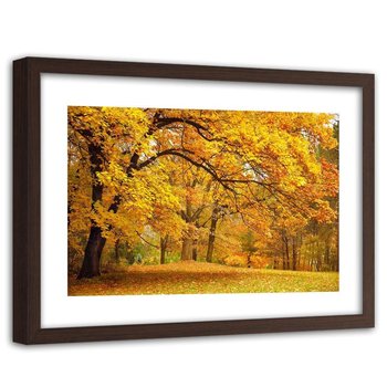Obraz FEEBY Żółte jesienne drzewa, 90x60 cm - Feeby
