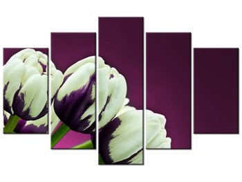 Obraz Fioletowe tulipany, 5 elementów, 100x63 cm - Oobrazy