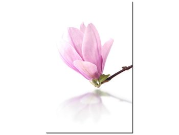 Obraz Gałązka magnolii, 60x90 cm - Oobrazy