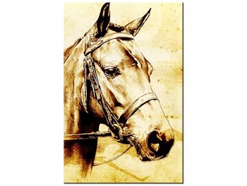 Obraz Głowa konia, 20x30 cm - Oobrazy