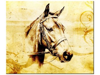 Obraz Głowa konia, 60x50 cm - Oobrazy