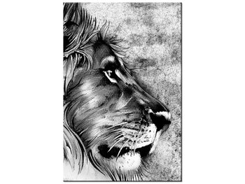 Obraz Głowa lwa, 20x30 cm - Oobrazy