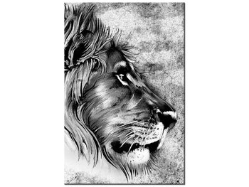 Obraz Głowa lwa, 40x60 cm - Oobrazy