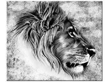 Obraz Głowa lwa, 60x50 cm - Oobrazy