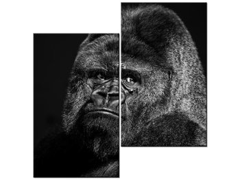 Obraz Gorilla Face - Feans, 2 elementy, 60x60 cm - Oobrazy