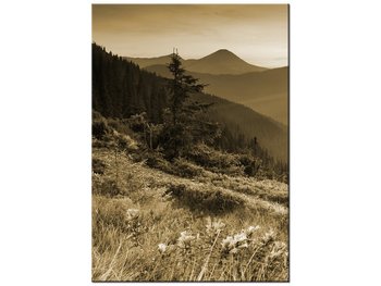 Obraz Górski krajobraz, 50x70 cm - Oobrazy