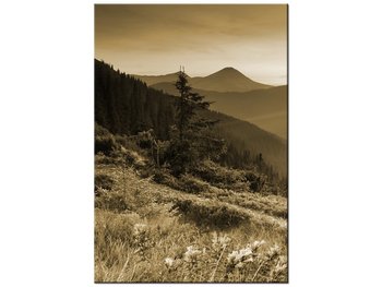 Obraz Górski krajobraz, 70x100 cm - Oobrazy