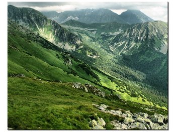 Obraz Górskie zbocze, 50x40 cm - Oobrazy